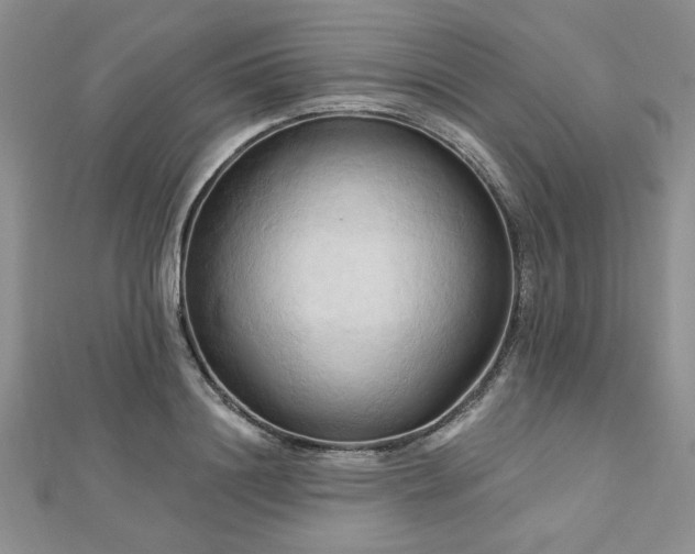 X0000113130844200909041146