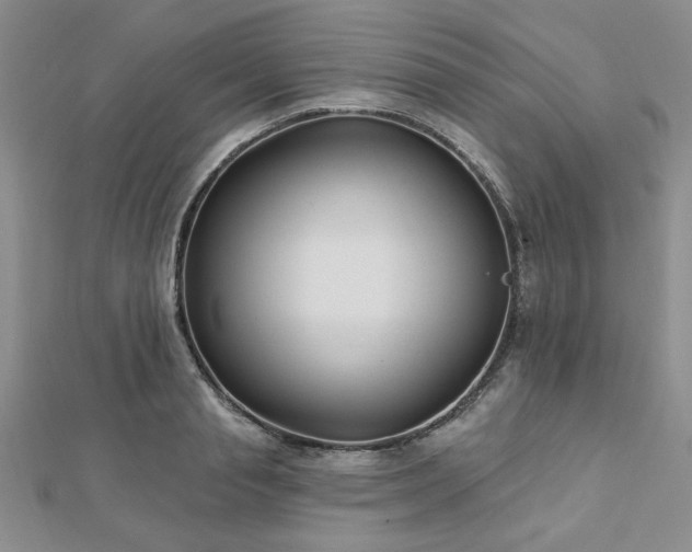 X0000113130845200909041146