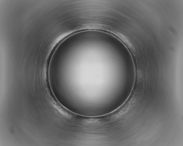 X0000113130846200909041146
