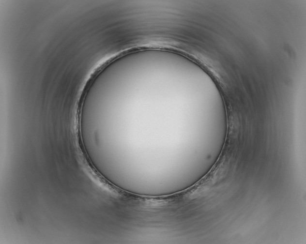 X0000113130848200909041146