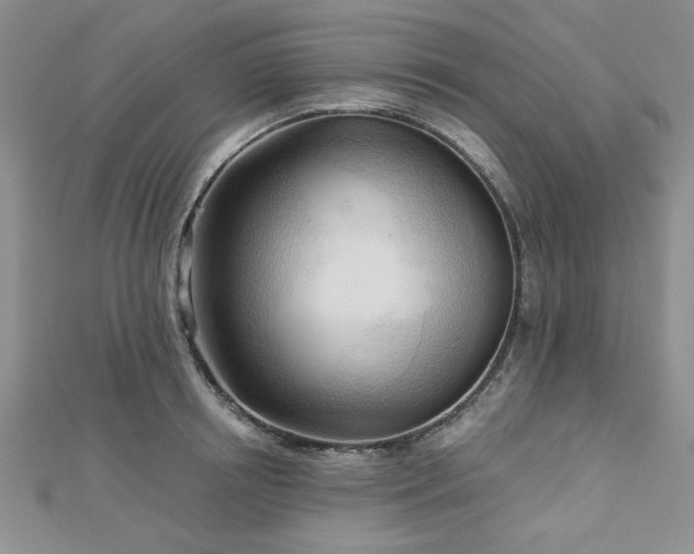 X0000113130850200909041146