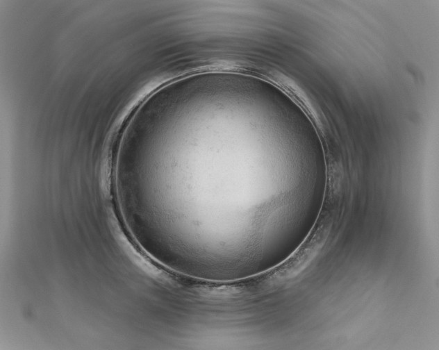 X0000113130851200909041146