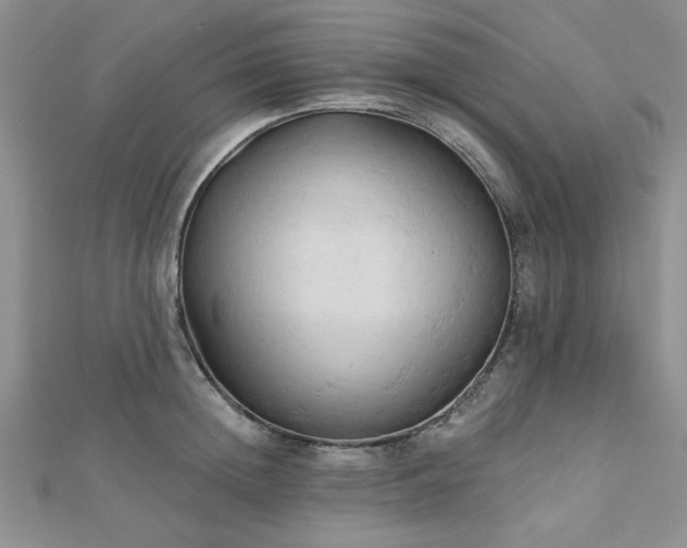 X0000113130852200909041146