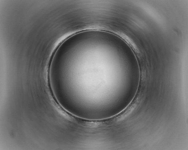 X0000113130854200909041146