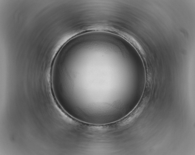 X0000113130855200909041146