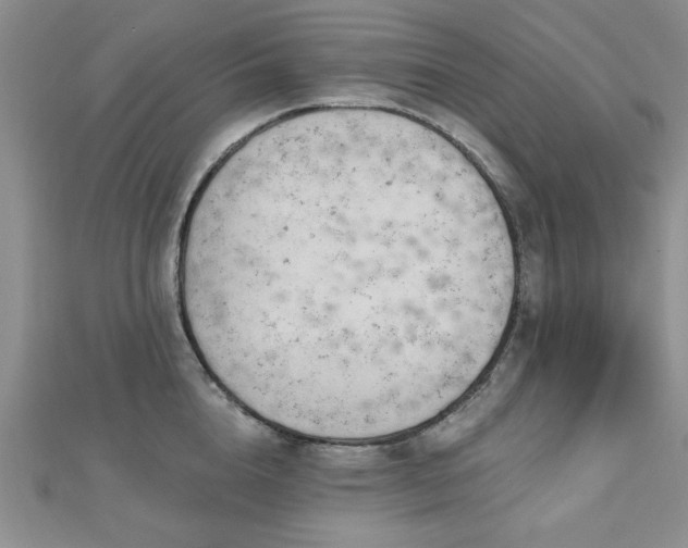 X0000113130856200909041146