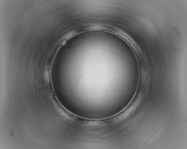 X0000113130857200909041146