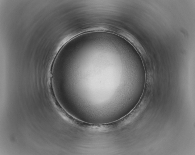X0000113130858200909041146