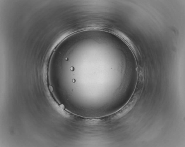 X0000113130859200909041146