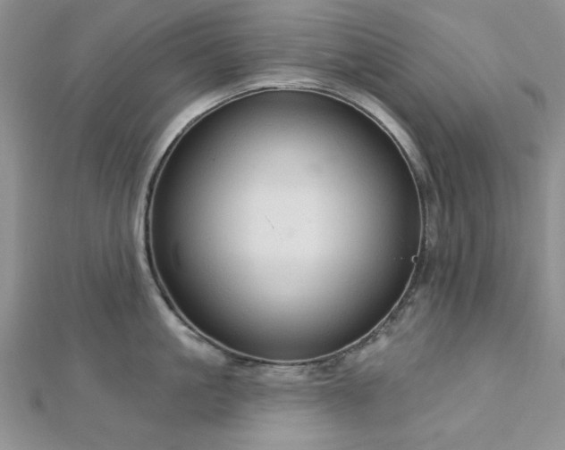 X0000113130861200909041146