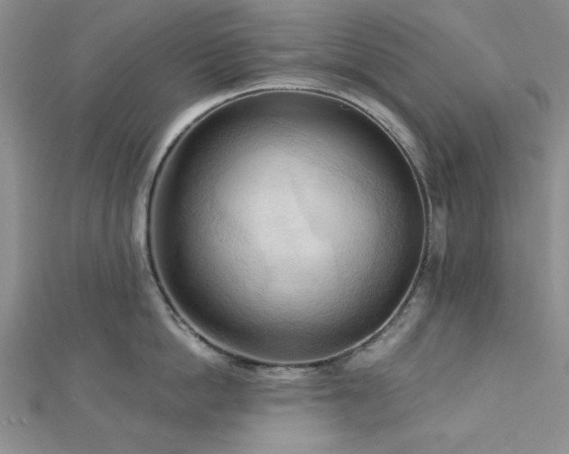 X0000113130862200909041146