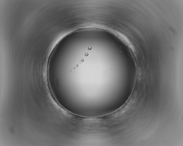 X0000113130863200909041146