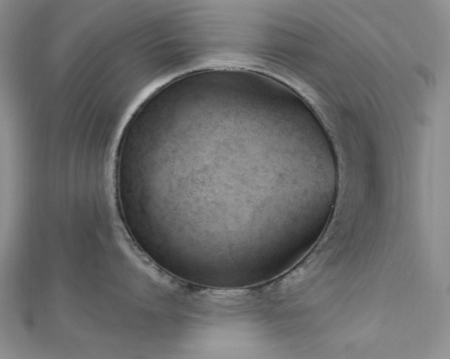 X0000113130864200909041146