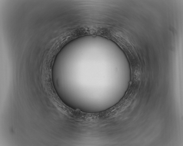 X0000113130865200909041145