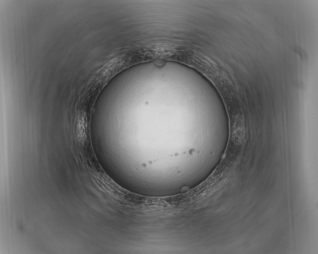X0000113130866200909041145