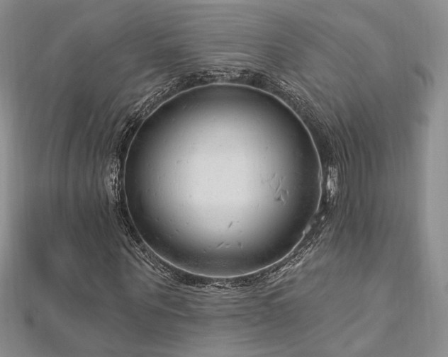 X0000113130867200909041145