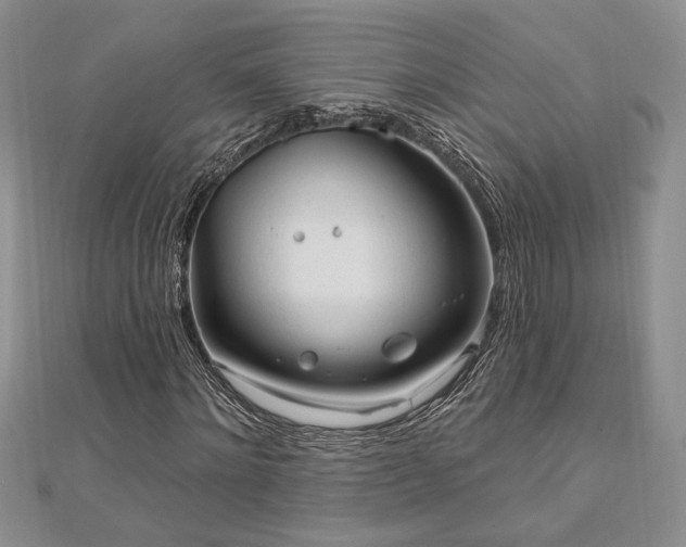 X0000113130868200909041145