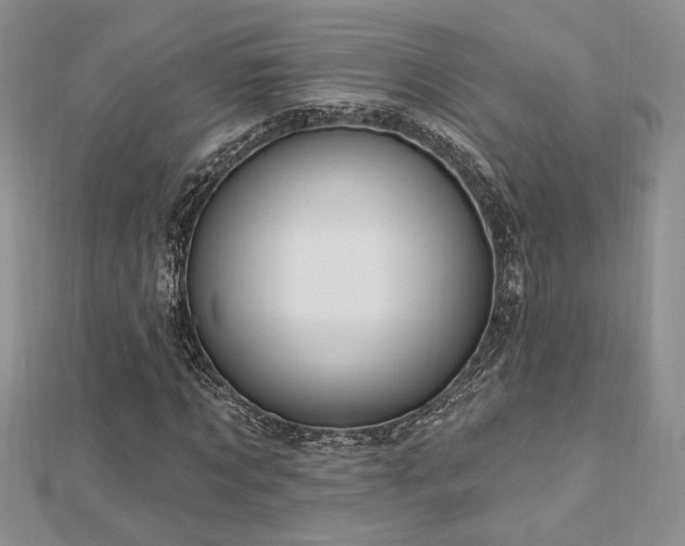 X0000113130869200909041145
