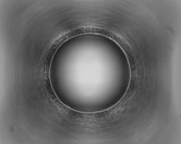 X0000113130870200909041145