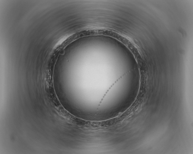 X0000113130871200909041145