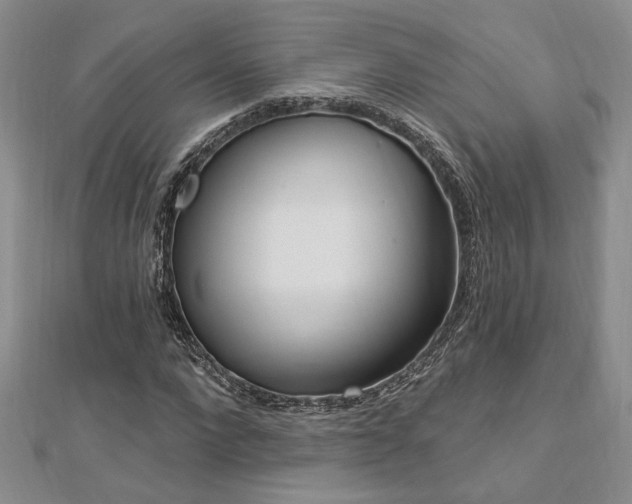 X0000113130872200909041145