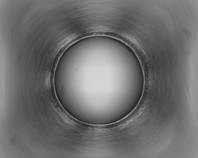 X0000113130873200909041145