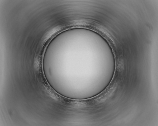 X0000113130874200909041145