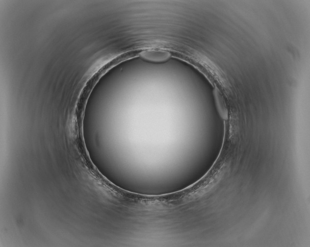 X0000113130876200909041145