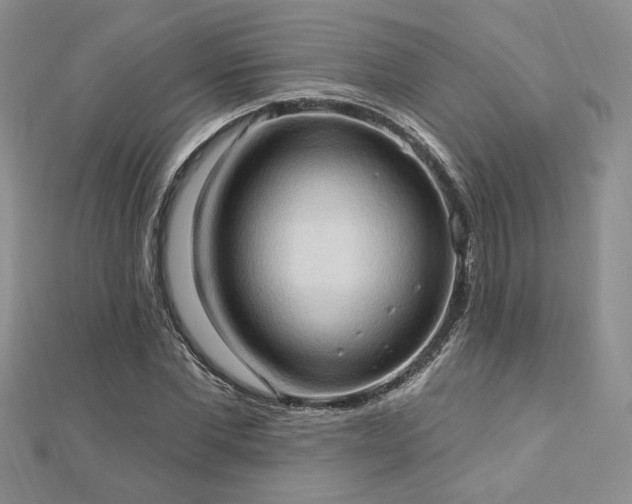 X0000113130877200909041145