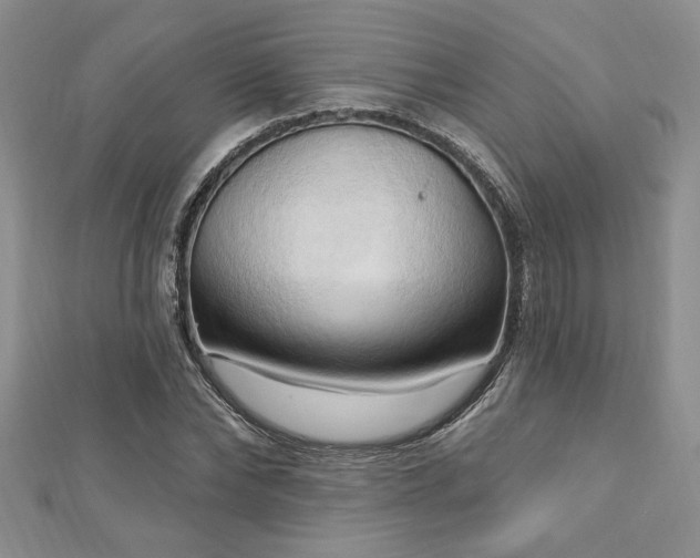 X0000113130878200909041145