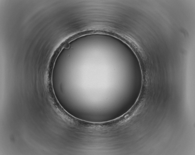 X0000113130880200909041145