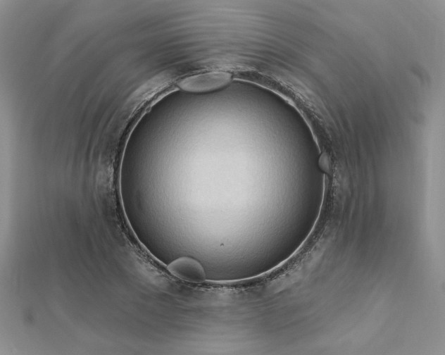 X0000113130881200909041145
