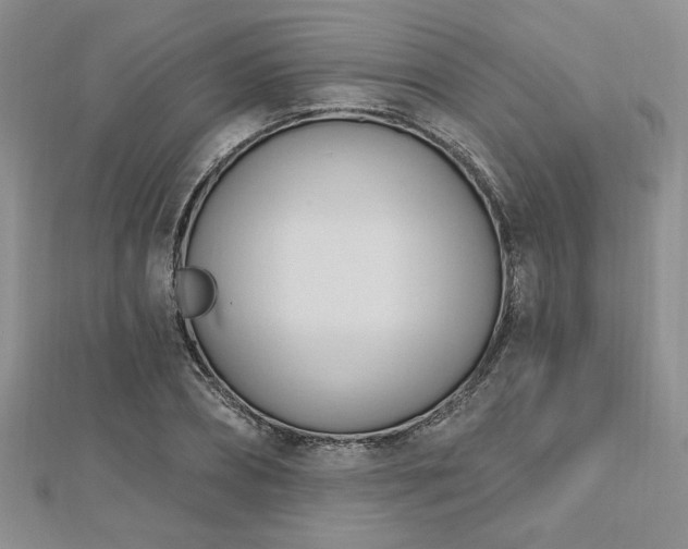 X0000113130882200909041145