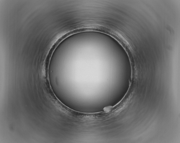 X0000113130883200909041145