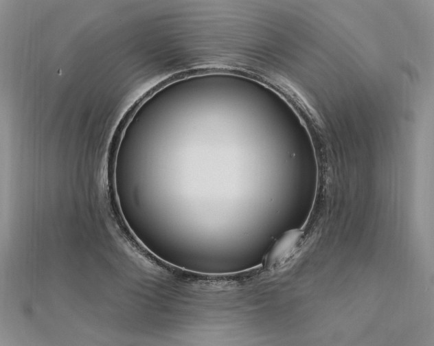 X0000113130884200909041145