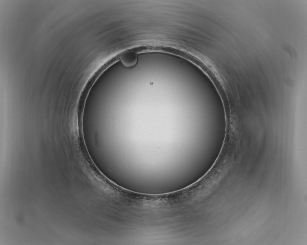 X0000113130887200909041145