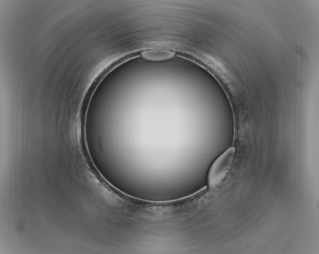 X0000113130888200909041145