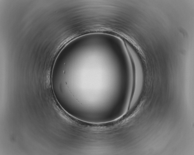 X0000113130889200909041145