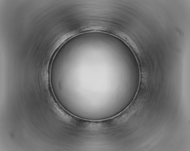 X0000113130890200909041145