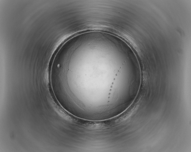 X0000113130891200909041145