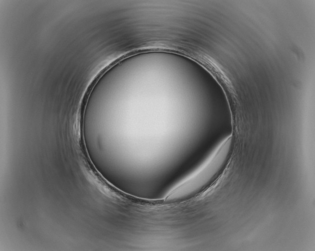 X0000113130892200909041145