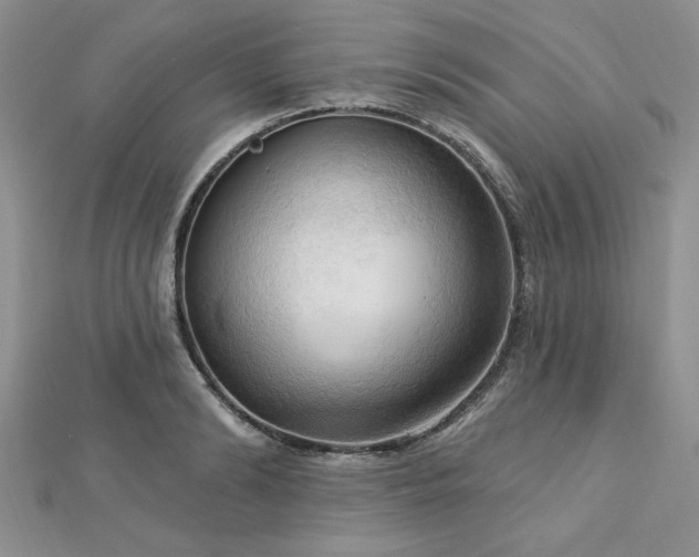 X0000113130894200909041145
