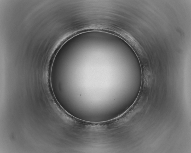 X0000113130896200909041145