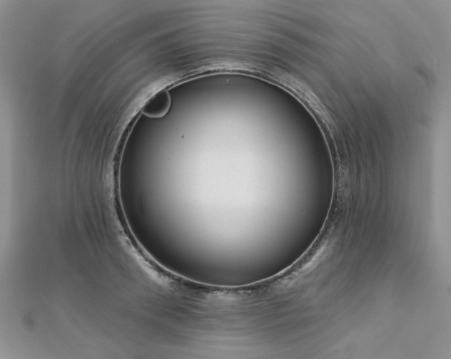 X0000113130898200909041145