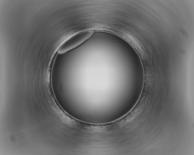 X0000113130900200909041145