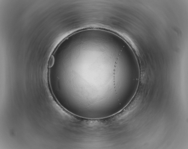 X0000113130903200909041145