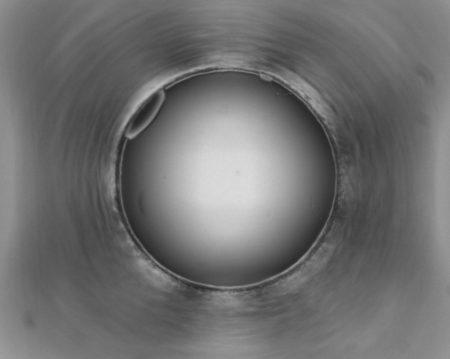 X0000113130904200909041145