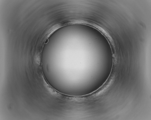 X0000113130905200909041145