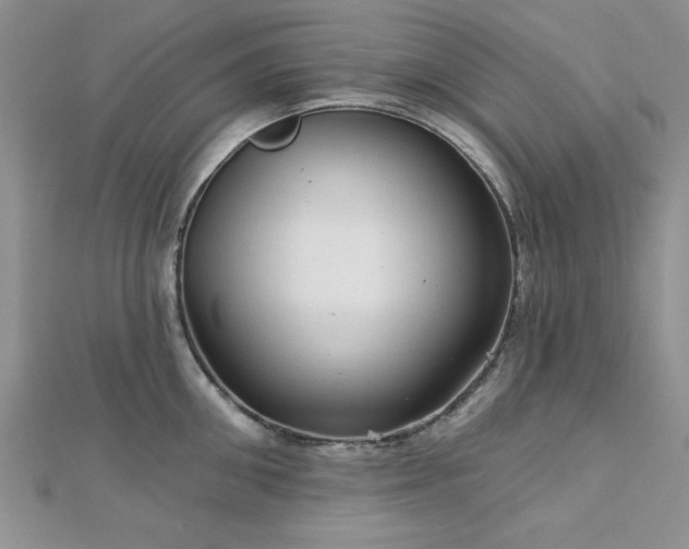 X0000113130906200909041145