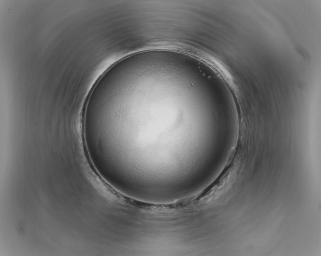 X0000113130907200909041145